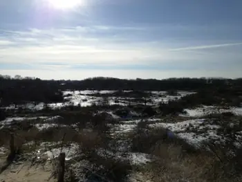 De Panne in de sneeuw (België)